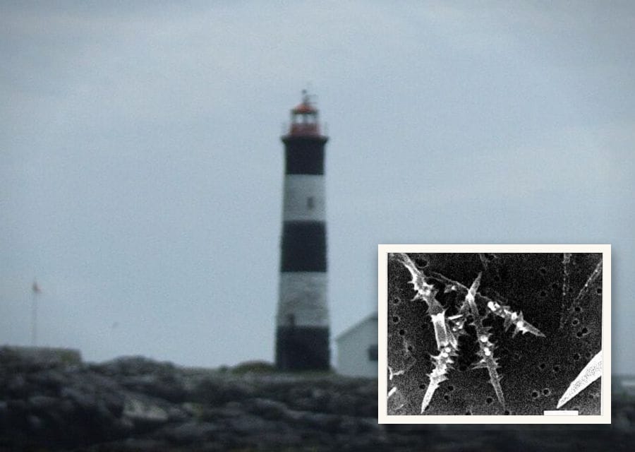 A black-and-white striped lighthouse stands on the rocky islets of Race Rocks.