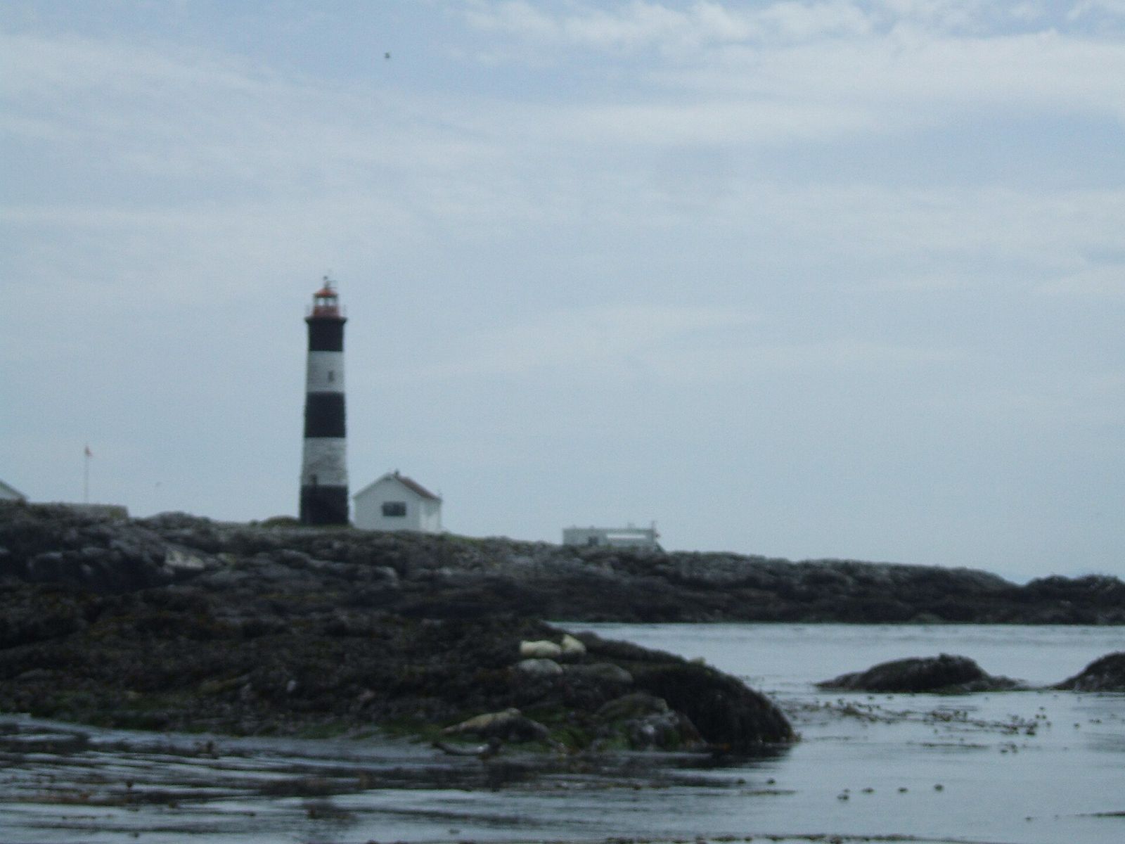 A black-and-white striped lighthouse on the rocky islets of Race Rocks