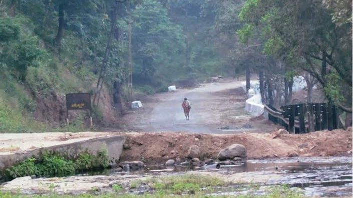 Steep, eroding banks frame one of the forest roads in the Dangs where Bamboo Pitvipers were surveyed.