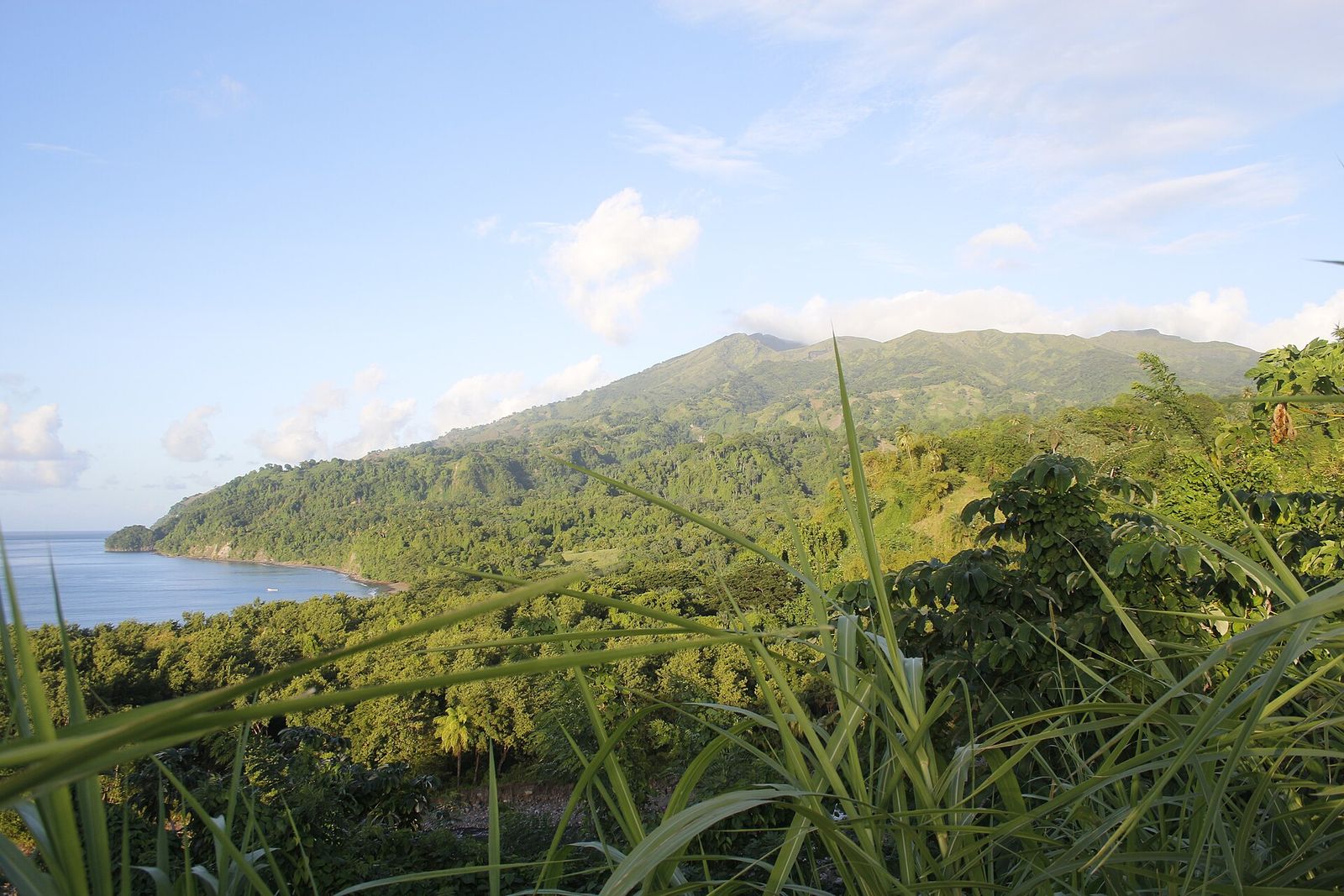 The forested slopes of La Soufrière volcano rising above the coast of St. Vincent