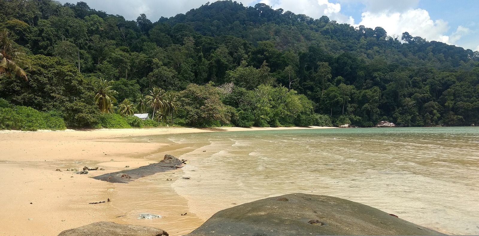 A quiet sandy bay backed by steep green rainforest on Pulau Tioman