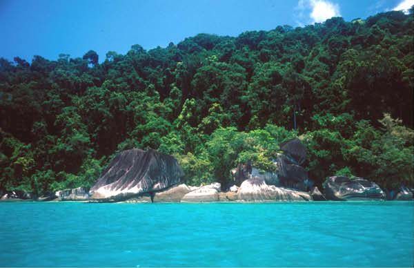 Coastal forest meets granite boulders at Telok Nipah on Pulau Tioman. Much of the island's rugged shoreline looks like this.