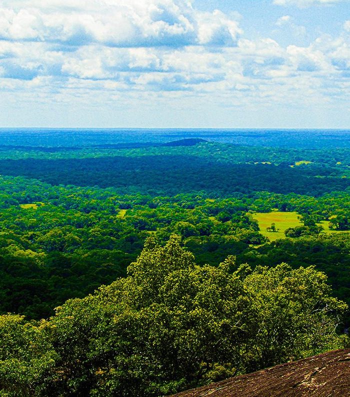 The view from a rock outcrop across Gilé National Park shows an unbroken green canopy of miombo woodland stretching to the horizon.