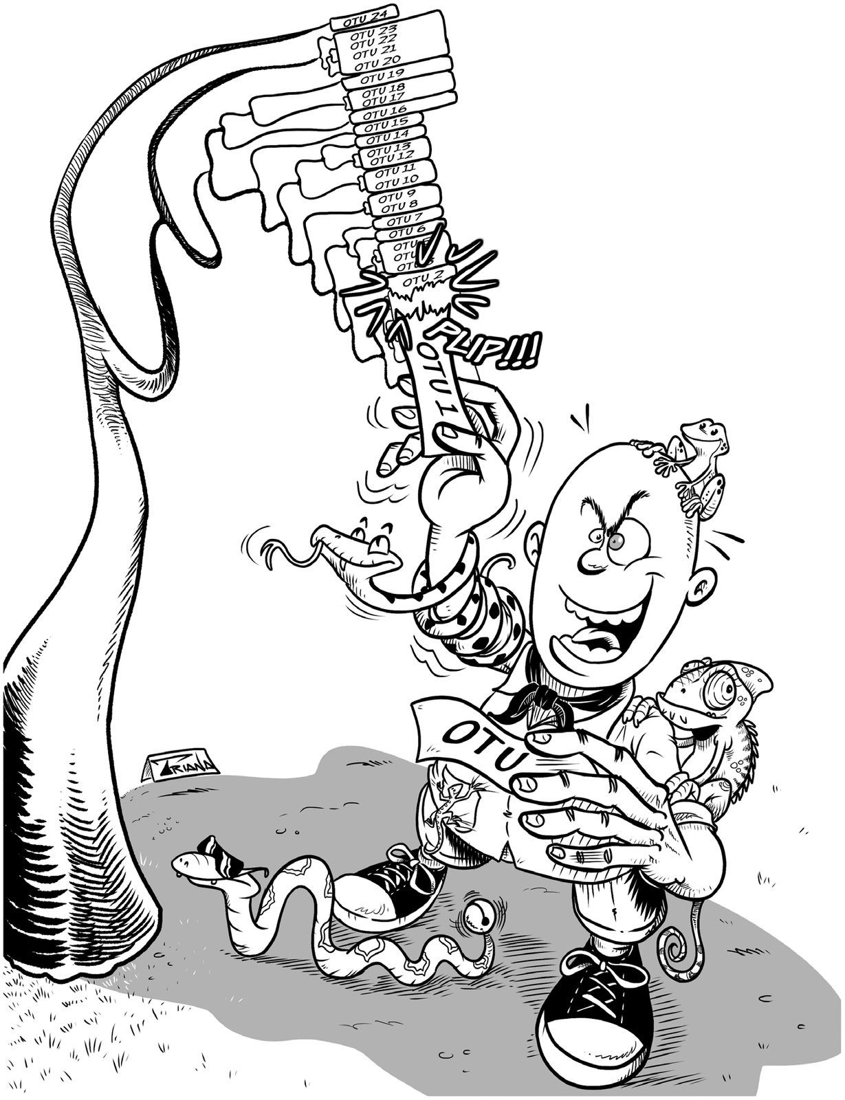 A cartoon shows a grinning man plucking labelled branches off a family tree while lizards, frogs and snakes cling to him.