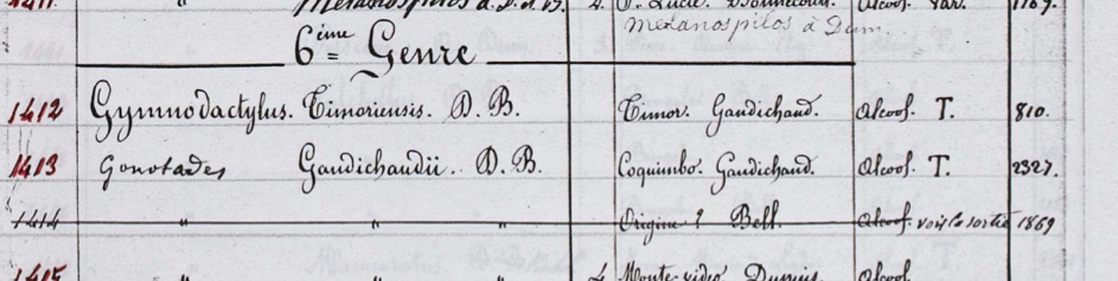 The entry for the gecko in the Paris museum's 1864 catalogue lists Timor as its home and Gaudichaud as its collector.