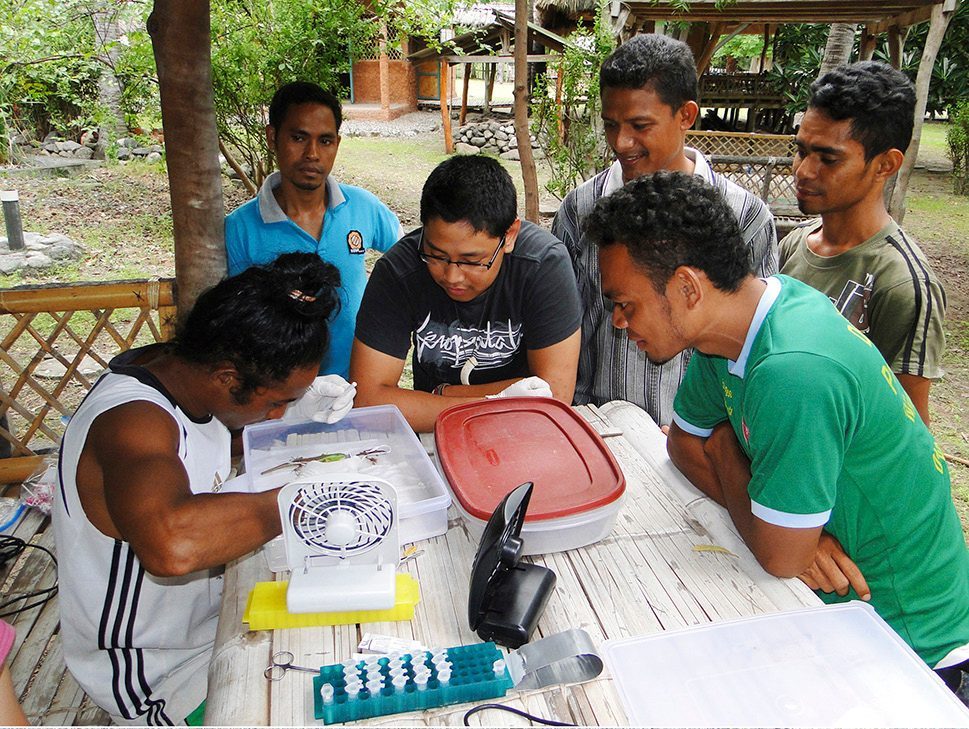 Timorese students working at a folding table in an open-air field laboratory