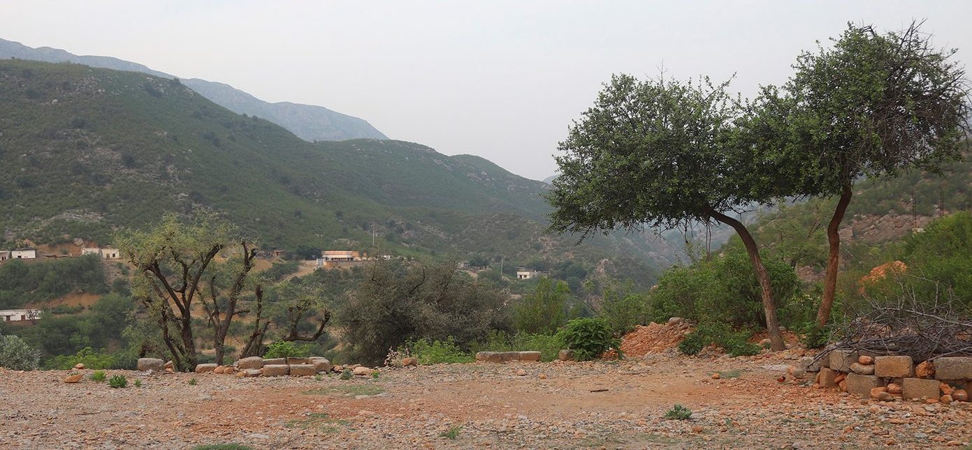 The viper was found at 393 metres in these rocky, semi-arid foothills around Jungrai, Nowshera District.